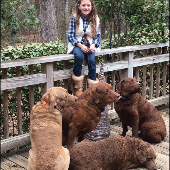 🌸Posh Ambassador 🌸  Paula and Addison 🦋👠💍❤️😇 - Picture 6 of 8